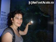 [P08] Cam ciudatele mutritele pestilor Pharaoh Cuttlefish » foto by adri-nico
 - 
<span class="allrVoted glyphicon glyphicon-heart hidden" id="av298149"></span>
<a class="m-l-10 hidden" id="sv298149" onclick="voting_Foto_DelVot(,298149,6314)" role="button">șterge vot <span class="glyphicon glyphicon-remove"></span></a>
<a id="v9298149" class=" c-red"  onclick="voting_Foto_SetVot(298149)" role="button"><span class="glyphicon glyphicon-heart-empty"></span> <b>LIKE</b> = Votează poza</a> <img class="hidden"  id="f298149W9" src="/imagini/loader.gif" border="0" /><span class="AjErrMes hidden" id="e298149ErM"></span>