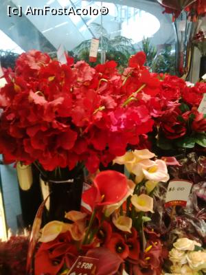[P39] intr-o florarie » foto by monaserban
 - 
<span class="allrVoted glyphicon glyphicon-heart hidden" id="av821138"></span>
<a class="m-l-10 hidden" id="sv821138" onclick="voting_Foto_DelVot(,821138,6314)" role="button">șterge vot <span class="glyphicon glyphicon-remove"></span></a>
<a id="v9821138" class=" c-red"  onclick="voting_Foto_SetVot(821138)" role="button"><span class="glyphicon glyphicon-heart-empty"></span> <b>LIKE</b> = Votează poza</a> <img class="hidden"  id="f821138W9" src="/imagini/loader.gif" border="0" /><span class="AjErrMes hidden" id="e821138ErM"></span>