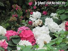 [P15] Flower Dome 2 » foto by thomas_cristi
 - 
<span class="allrVoted glyphicon glyphicon-heart hidden" id="av482979"></span>
<a class="m-l-10 hidden" id="sv482979" onclick="voting_Foto_DelVot(,482979,6314)" role="button">șterge vot <span class="glyphicon glyphicon-remove"></span></a>
<a id="v9482979" class=" c-red"  onclick="voting_Foto_SetVot(482979)" role="button"><span class="glyphicon glyphicon-heart-empty"></span> <b>LIKE</b> = Votează poza</a> <img class="hidden"  id="f482979W9" src="/imagini/loader.gif" border="0" /><span class="AjErrMes hidden" id="e482979ErM"></span>