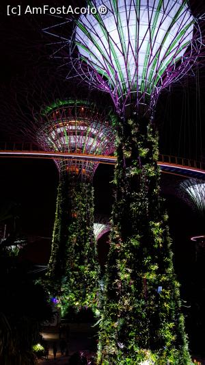 [P11] Gardens by the Bay noaptea » foto by Miseropia
 - 
<span class="allrVoted glyphicon glyphicon-heart hidden" id="av1052371"></span>
<a class="m-l-10 hidden" id="sv1052371" onclick="voting_Foto_DelVot(,1052371,6314)" role="button">șterge vot <span class="glyphicon glyphicon-remove"></span></a>
<a id="v91052371" class=" c-red"  onclick="voting_Foto_SetVot(1052371)" role="button"><span class="glyphicon glyphicon-heart-empty"></span> <b>LIKE</b> = Votează poza</a> <img class="hidden"  id="f1052371W9" src="/imagini/loader.gif" border="0" /><span class="AjErrMes hidden" id="e1052371ErM"></span>