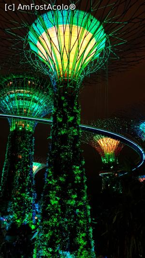 [P15] Gardens By the Bay joc de lumini_1b » foto by Miseropia
 - 
<span class="allrVoted glyphicon glyphicon-heart hidden" id="av1052655"></span>
<a class="m-l-10 hidden" id="sv1052655" onclick="voting_Foto_DelVot(,1052655,6314)" role="button">șterge vot <span class="glyphicon glyphicon-remove"></span></a>
<a id="v91052655" class=" c-red"  onclick="voting_Foto_SetVot(1052655)" role="button"><span class="glyphicon glyphicon-heart-empty"></span> <b>LIKE</b> = Votează poza</a> <img class="hidden"  id="f1052655W9" src="/imagini/loader.gif" border="0" /><span class="AjErrMes hidden" id="e1052655ErM"></span>