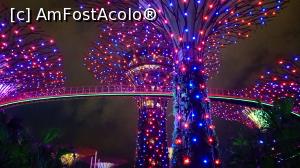 [P16] Gardens By the Bay joc de lumini_1c » foto by Miseropia
 - 
<span class="allrVoted glyphicon glyphicon-heart hidden" id="av1052656"></span>
<a class="m-l-10 hidden" id="sv1052656" onclick="voting_Foto_DelVot(,1052656,6314)" role="button">șterge vot <span class="glyphicon glyphicon-remove"></span></a>
<a id="v91052656" class=" c-red"  onclick="voting_Foto_SetVot(1052656)" role="button"><span class="glyphicon glyphicon-heart-empty"></span> <b>LIKE</b> = Votează poza</a> <img class="hidden"  id="f1052656W9" src="/imagini/loader.gif" border="0" /><span class="AjErrMes hidden" id="e1052656ErM"></span>