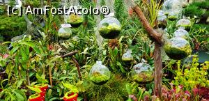 [P11] Cloud Forest, Garden by the Bay » foto by Miseropia
 - 
<span class="allrVoted glyphicon glyphicon-heart hidden" id="av1053888"></span>
<a class="m-l-10 hidden" id="sv1053888" onclick="voting_Foto_DelVot(,1053888,6314)" role="button">șterge vot <span class="glyphicon glyphicon-remove"></span></a>
<a id="v91053888" class=" c-red"  onclick="voting_Foto_SetVot(1053888)" role="button"><span class="glyphicon glyphicon-heart-empty"></span> <b>LIKE</b> = Votează poza</a> <img class="hidden"  id="f1053888W9" src="/imagini/loader.gif" border="0" /><span class="AjErrMes hidden" id="e1053888ErM"></span>