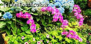 [P04] Flower Dome, Gardens by the Bay_1c » foto by Miseropia
 - 
<span class="allrVoted glyphicon glyphicon-heart hidden" id="av1053881"></span>
<a class="m-l-10 hidden" id="sv1053881" onclick="voting_Foto_DelVot(,1053881,6314)" role="button">șterge vot <span class="glyphicon glyphicon-remove"></span></a>
<a id="v91053881" class=" c-red"  onclick="voting_Foto_SetVot(1053881)" role="button"><span class="glyphicon glyphicon-heart-empty"></span> <b>LIKE</b> = Votează poza</a> <img class="hidden"  id="f1053881W9" src="/imagini/loader.gif" border="0" /><span class="AjErrMes hidden" id="e1053881ErM"></span>
