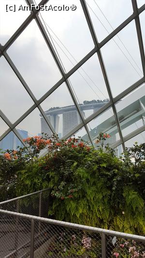 [P08] Vedere din Cloud Forest » foto by r-Uca
 - 
<span class="allrVoted glyphicon glyphicon-heart hidden" id="av970652"></span>
<a class="m-l-10 hidden" id="sv970652" onclick="voting_Foto_DelVot(,970652,6314)" role="button">șterge vot <span class="glyphicon glyphicon-remove"></span></a>
<a id="v9970652" class=" c-red"  onclick="voting_Foto_SetVot(970652)" role="button"><span class="glyphicon glyphicon-heart-empty"></span> <b>LIKE</b> = Votează poza</a> <img class="hidden"  id="f970652W9" src="/imagini/loader.gif" border="0" /><span class="AjErrMes hidden" id="e970652ErM"></span>