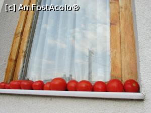 [P21] Roșiile se desăvârșesc la soare!  » foto by crismis
 - 
<span class="allrVoted glyphicon glyphicon-heart hidden" id="av781987"></span>
<a class="m-l-10 hidden" id="sv781987" onclick="voting_Foto_DelVot(,781987,6318)" role="button">șterge vot <span class="glyphicon glyphicon-remove"></span></a>
<a id="v9781987" class=" c-red"  onclick="voting_Foto_SetVot(781987)" role="button"><span class="glyphicon glyphicon-heart-empty"></span> <b>LIKE</b> = Votează poza</a> <img class="hidden"  id="f781987W9" src="/imagini/loader.gif" border="0" /><span class="AjErrMes hidden" id="e781987ErM"></span>