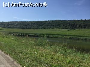 [P52] Dar si o padure ce asigura o zona de racoare » foto by mishu
 - 
<span class="allrVoted glyphicon glyphicon-heart hidden" id="av1179527"></span>
<a class="m-l-10 hidden" id="sv1179527" onclick="voting_Foto_DelVot(,1179527,6324)" role="button">șterge vot <span class="glyphicon glyphicon-remove"></span></a>
<a id="v91179527" class=" c-red"  onclick="voting_Foto_SetVot(1179527)" role="button"><span class="glyphicon glyphicon-heart-empty"></span> <b>LIKE</b> = Votează poza</a> <img class="hidden"  id="f1179527W9" src="/imagini/loader.gif" border="0" /><span class="AjErrMes hidden" id="e1179527ErM"></span>