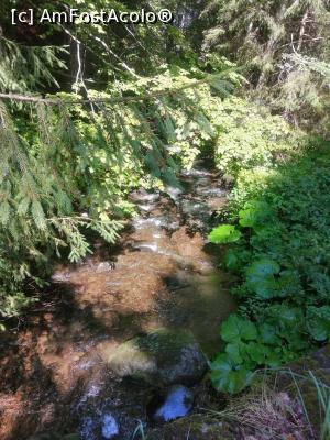 [P13] Valea paraului Iod » foto by dorgo
 - 
<span class="allrVoted glyphicon glyphicon-heart hidden" id="av1226843"></span>
<a class="m-l-10 hidden" id="sv1226843" onclick="voting_Foto_DelVot(,1226843,6324)" role="button">șterge vot <span class="glyphicon glyphicon-remove"></span></a>
<a id="v91226843" class=" c-red"  onclick="voting_Foto_SetVot(1226843)" role="button"><span class="glyphicon glyphicon-heart-empty"></span> <b>LIKE</b> = Votează poza</a> <img class="hidden"  id="f1226843W9" src="/imagini/loader.gif" border="0" /><span class="AjErrMes hidden" id="e1226843ErM"></span>