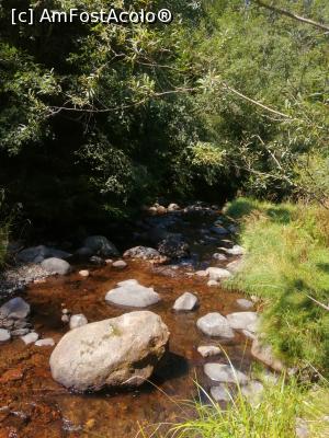 [P14] Apa paraului Iod e feruginoasa » foto by dorgo
 - 
<span class="allrVoted glyphicon glyphicon-heart hidden" id="av1226844"></span>
<a class="m-l-10 hidden" id="sv1226844" onclick="voting_Foto_DelVot(,1226844,6324)" role="button">șterge vot <span class="glyphicon glyphicon-remove"></span></a>
<a id="v91226844" class=" c-red"  onclick="voting_Foto_SetVot(1226844)" role="button"><span class="glyphicon glyphicon-heart-empty"></span> <b>LIKE</b> = Votează poza</a> <img class="hidden"  id="f1226844W9" src="/imagini/loader.gif" border="0" /><span class="AjErrMes hidden" id="e1226844ErM"></span>