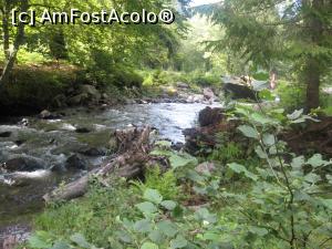 [P06] In prima zi, am facut un traseu de 16 Km pana la Cascada Cofu si inapoi, pe langa paraul Bistra » foto by dorgo
 - 
<span class="allrVoted glyphicon glyphicon-heart hidden" id="av1226836"></span>
<a class="m-l-10 hidden" id="sv1226836" onclick="voting_Foto_DelVot(,1226836,6324)" role="button">șterge vot <span class="glyphicon glyphicon-remove"></span></a>
<a id="v91226836" class=" c-red"  onclick="voting_Foto_SetVot(1226836)" role="button"><span class="glyphicon glyphicon-heart-empty"></span> <b>LIKE</b> = Votează poza</a> <img class="hidden"  id="f1226836W9" src="/imagini/loader.gif" border="0" /><span class="AjErrMes hidden" id="e1226836ErM"></span>