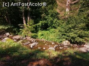 [P09] Paraul Iod » foto by dorgo
 - 
<span class="allrVoted glyphicon glyphicon-heart hidden" id="av1226839"></span>
<a class="m-l-10 hidden" id="sv1226839" onclick="voting_Foto_DelVot(,1226839,6324)" role="button">șterge vot <span class="glyphicon glyphicon-remove"></span></a>
<a id="v91226839" class=" c-red"  onclick="voting_Foto_SetVot(1226839)" role="button"><span class="glyphicon glyphicon-heart-empty"></span> <b>LIKE</b> = Votează poza</a> <img class="hidden"  id="f1226839W9" src="/imagini/loader.gif" border="0" /><span class="AjErrMes hidden" id="e1226839ErM"></span>