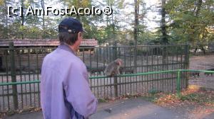 [P24] Asta micu' de pe bara, e-un unchi de-al meu, de la o matusa de-a doua care era verisoara dulce cu bunicu. " Sarut mana unchiu! , ce mai faci? " " Eu? Bine! " . " Da auzi, nepoate, zgarcit mai esti, asa se vine in vizita la neamuri, fara un kil-doua de banane? "  » foto by dorgo
 - 
<span class="allrVoted glyphicon glyphicon-heart hidden" id="av1140568"></span>
<a class="m-l-10 hidden" id="sv1140568" onclick="voting_Foto_DelVot(,1140568,6324)" role="button">șterge vot <span class="glyphicon glyphicon-remove"></span></a>
<a id="v91140568" class=" c-red"  onclick="voting_Foto_SetVot(1140568)" role="button"><span class="glyphicon glyphicon-heart-empty"></span> <b>LIKE</b> = Votează poza</a> <img class="hidden"  id="f1140568W9" src="/imagini/loader.gif" border="0" /><span class="AjErrMes hidden" id="e1140568ErM"></span>