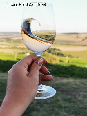 [P27] &Icirc;nvățăm să degustăm/ Pinot Noir Rose » foto by cata2106
 - 
<span class="allrVoted glyphicon glyphicon-heart hidden" id="av1320964"></span>
<a class="m-l-10 hidden" id="sv1320964" onclick="voting_Foto_DelVot(,1320964,6324)" role="button">șterge vot <span class="glyphicon glyphicon-remove"></span></a>
<a id="v91320964" class=" c-red"  onclick="voting_Foto_SetVot(1320964)" role="button"><span class="glyphicon glyphicon-heart-empty"></span> <b>LIKE</b> = Votează poza</a> <img class="hidden"  id="f1320964W9" src="/imagini/loader.gif" border="0" /><span class="AjErrMes hidden" id="e1320964ErM"></span>