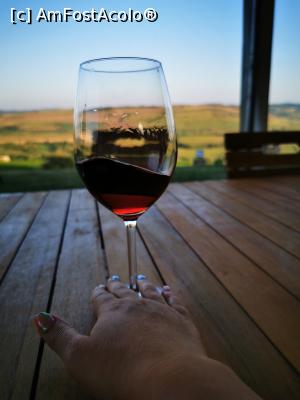 [P29] Trecem spre roșu - Pinot Noir » foto by cata2106
 - 
<span class="allrVoted glyphicon glyphicon-heart hidden" id="av1320966"></span>
<a class="m-l-10 hidden" id="sv1320966" onclick="voting_Foto_DelVot(,1320966,6324)" role="button">șterge vot <span class="glyphicon glyphicon-remove"></span></a>
<a id="v91320966" class=" c-red"  onclick="voting_Foto_SetVot(1320966)" role="button"><span class="glyphicon glyphicon-heart-empty"></span> <b>LIKE</b> = Votează poza</a> <img class="hidden"  id="f1320966W9" src="/imagini/loader.gif" border="0" /><span class="AjErrMes hidden" id="e1320966ErM"></span>
