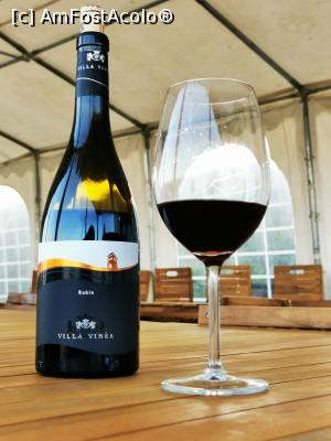 [P34] Cupaj Merlot &ndash; Zweigelt &ndash; Fetească Neagră » foto by cata2106
 - 
<span class="allrVoted glyphicon glyphicon-heart hidden" id="av1320971"></span>
<a class="m-l-10 hidden" id="sv1320971" onclick="voting_Foto_DelVot(,1320971,6324)" role="button">șterge vot <span class="glyphicon glyphicon-remove"></span></a>
<a id="v91320971" class=" c-red"  onclick="voting_Foto_SetVot(1320971)" role="button"><span class="glyphicon glyphicon-heart-empty"></span> <b>LIKE</b> = Votează poza</a> <img class="hidden"  id="f1320971W9" src="/imagini/loader.gif" border="0" /><span class="AjErrMes hidden" id="e1320971ErM"></span>