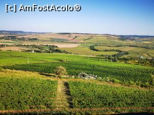 [P06] Vedere spre Valea T&acirc;rnavei Mici » foto by cata2106
 - 
<span class="allrVoted glyphicon glyphicon-heart hidden" id="av1320943"></span>
<a class="m-l-10 hidden" id="sv1320943" onclick="voting_Foto_DelVot(,1320943,6324)" role="button">șterge vot <span class="glyphicon glyphicon-remove"></span></a>
<a id="v91320943" class=" c-red"  onclick="voting_Foto_SetVot(1320943)" role="button"><span class="glyphicon glyphicon-heart-empty"></span> <b>LIKE</b> = Votează poza</a> <img class="hidden"  id="f1320943W9" src="/imagini/loader.gif" border="0" /><span class="AjErrMes hidden" id="e1320943ErM"></span>