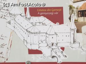 [P04] Vechea cetate Teleki, pe ruinele careia s-a construit actualul castel. » foto by geani anto
 - 
<span class="allrVoted glyphicon glyphicon-heart hidden" id="av1211474"></span>
<a class="m-l-10 hidden" id="sv1211474" onclick="voting_Foto_DelVot(,1211474,6324)" role="button">șterge vot <span class="glyphicon glyphicon-remove"></span></a>
<a id="v91211474" class=" c-red"  onclick="voting_Foto_SetVot(1211474)" role="button"><span class="glyphicon glyphicon-heart-empty"></span> <b>LIKE</b> = Votează poza</a> <img class="hidden"  id="f1211474W9" src="/imagini/loader.gif" border="0" /><span class="AjErrMes hidden" id="e1211474ErM"></span>