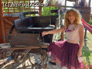 [P05]  -- <small>// FĂRĂ DESCRIERE</small> » foto by geani anto
 - 
<span class="allrVoted glyphicon glyphicon-heart hidden" id="av1211755"></span>
<a class="m-l-10 hidden" id="sv1211755" onclick="voting_Foto_DelVot(,1211755,6324)" role="button">șterge vot <span class="glyphicon glyphicon-remove"></span></a>
<a id="v91211755" class=" c-red"  onclick="voting_Foto_SetVot(1211755)" role="button"><span class="glyphicon glyphicon-heart-empty"></span> <b>LIKE</b> = Votează poza</a> <img class="hidden"  id="f1211755W9" src="/imagini/loader.gif" border="0" /><span class="AjErrMes hidden" id="e1211755ErM"></span>