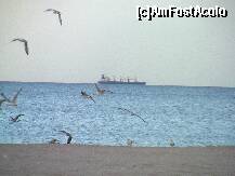 [P27] Cum am uitat de cazare, parcare, mancare si sictirul personalului? 
Privind spre mare. » foto by bubumaia
 - 
<span class="allrVoted glyphicon glyphicon-heart hidden" id="av130002"></span>
<a class="m-l-10 hidden" id="sv130002" onclick="voting_Foto_DelVot(,130002,6325)" role="button">șterge vot <span class="glyphicon glyphicon-remove"></span></a>
<a id="v9130002" class=" c-red"  onclick="voting_Foto_SetVot(130002)" role="button"><span class="glyphicon glyphicon-heart-empty"></span> <b>LIKE</b> = Votează poza</a> <img class="hidden"  id="f130002W9" src="/imagini/loader.gif" border="0" /><span class="AjErrMes hidden" id="e130002ErM"></span>