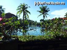 [P13]  -- <small>// FĂRĂ DESCRIERE</small> » foto by Xandra
 - 
<span class="allrVoted glyphicon glyphicon-heart hidden" id="av425605"></span>
<a class="m-l-10 hidden" id="sv425605" onclick="voting_Foto_DelVot(,425605,6327)" role="button">șterge vot <span class="glyphicon glyphicon-remove"></span></a>
<a id="v9425605" class=" c-red"  onclick="voting_Foto_SetVot(425605)" role="button"><span class="glyphicon glyphicon-heart-empty"></span> <b>LIKE</b> = Votează poza</a> <img class="hidden"  id="f425605W9" src="/imagini/loader.gif" border="0" /><span class="AjErrMes hidden" id="e425605ErM"></span>