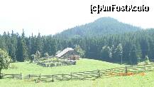 [P26] fara cuvinte..... » foto by celeste
 - 
<span class="allrVoted glyphicon glyphicon-heart hidden" id="av129869"></span>
<a class="m-l-10 hidden" id="sv129869" onclick="voting_Foto_DelVot(,129869,6329)" role="button">șterge vot <span class="glyphicon glyphicon-remove"></span></a>
<a id="v9129869" class=" c-red"  onclick="voting_Foto_SetVot(129869)" role="button"><span class="glyphicon glyphicon-heart-empty"></span> <b>LIKE</b> = Votează poza</a> <img class="hidden"  id="f129869W9" src="/imagini/loader.gif" border="0" /><span class="AjErrMes hidden" id="e129869ErM"></span>