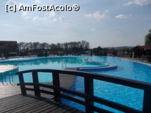 [P05] Piscina cu apă dulce » foto by Eric s mom
 - 
<span class="allrVoted glyphicon glyphicon-heart hidden" id="av789132"></span>
<a class="m-l-10 hidden" id="sv789132" onclick="voting_Foto_DelVot(,789132,6331)" role="button">șterge vot <span class="glyphicon glyphicon-remove"></span></a>
<a id="v9789132" class=" c-red"  onclick="voting_Foto_SetVot(789132)" role="button"><span class="glyphicon glyphicon-heart-empty"></span> <b>LIKE</b> = Votează poza</a> <img class="hidden"  id="f789132W9" src="/imagini/loader.gif" border="0" /><span class="AjErrMes hidden" id="e789132ErM"></span>