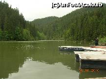 [P12] Pescar si barci la debarcaderul Lacului Rosu » foto by mcosmin
 - 
<span class="allrVoted glyphicon glyphicon-heart hidden" id="av221041"></span>
<a class="m-l-10 hidden" id="sv221041" onclick="voting_Foto_DelVot(,221041,6333)" role="button">șterge vot <span class="glyphicon glyphicon-remove"></span></a>
<a id="v9221041" class=" c-red"  onclick="voting_Foto_SetVot(221041)" role="button"><span class="glyphicon glyphicon-heart-empty"></span> <b>LIKE</b> = Votează poza</a> <img class="hidden"  id="f221041W9" src="/imagini/loader.gif" border="0" /><span class="AjErrMes hidden" id="e221041ErM"></span>