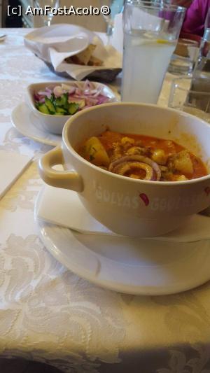 [P11] Gulas si salata de ceapă. Apoi a fost un lava cake pe care n am mai apucat să l pozez fiindcă l am înfulecat. Nu de alta, dar se topea înghețata :)  » foto by Ilaș Maria
 - 
<span class="allrVoted glyphicon glyphicon-heart hidden" id="av893876"></span>
<a class="m-l-10 hidden" id="sv893876" onclick="voting_Foto_DelVot(,893876,6333)" role="button">șterge vot <span class="glyphicon glyphicon-remove"></span></a>
<a id="v9893876" class=" c-red"  onclick="voting_Foto_SetVot(893876)" role="button"><span class="glyphicon glyphicon-heart-empty"></span> <b>LIKE</b> = Votează poza</a> <img class="hidden"  id="f893876W9" src="/imagini/loader.gif" border="0" /><span class="AjErrMes hidden" id="e893876ErM"></span>