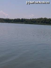 [P22] Intindere de apa » foto by Tzutzuricu40
 - 
<span class="allrVoted glyphicon glyphicon-heart hidden" id="av244048"></span>
<a class="m-l-10 hidden" id="sv244048" onclick="voting_Foto_DelVot(,244048,6339)" role="button">șterge vot <span class="glyphicon glyphicon-remove"></span></a>
<a id="v9244048" class=" c-red"  onclick="voting_Foto_SetVot(244048)" role="button"><span class="glyphicon glyphicon-heart-empty"></span> <b>LIKE</b> = Votează poza</a> <img class="hidden"  id="f244048W9" src="/imagini/loader.gif" border="0" /><span class="AjErrMes hidden" id="e244048ErM"></span>