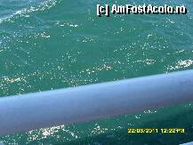 [P31] marea la Eceabat, observati culoarea verde-turqoise » foto by adryana
 - 
<span class="allrVoted glyphicon glyphicon-heart hidden" id="av226223"></span>
<a class="m-l-10 hidden" id="sv226223" onclick="voting_Foto_DelVot(,226223,6346)" role="button">șterge vot <span class="glyphicon glyphicon-remove"></span></a>
<a id="v9226223" class=" c-red"  onclick="voting_Foto_SetVot(226223)" role="button"><span class="glyphicon glyphicon-heart-empty"></span> <b>LIKE</b> = Votează poza</a> <img class="hidden"  id="f226223W9" src="/imagini/loader.gif" border="0" /><span class="AjErrMes hidden" id="e226223ErM"></span>