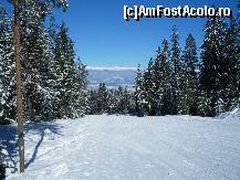 [P03] Partia principala, coborare dinspre Bunderitza poliana spre gondola » foto by fanespoitorul
 - 
<span class="allrVoted glyphicon glyphicon-heart hidden" id="av96508"></span>
<a class="m-l-10 hidden" id="sv96508" onclick="voting_Foto_DelVot(,96508,6355)" role="button">șterge vot <span class="glyphicon glyphicon-remove"></span></a>
<a id="v996508" class=" c-red"  onclick="voting_Foto_SetVot(96508)" role="button"><span class="glyphicon glyphicon-heart-empty"></span> <b>LIKE</b> = Votează poza</a> <img class="hidden"  id="f96508W9" src="/imagini/loader.gif" border="0" /><span class="AjErrMes hidden" id="e96508ErM"></span>