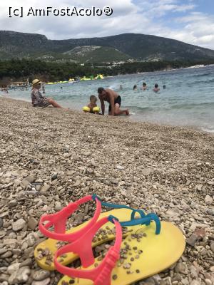 [P04] Șoșonii mei de apă pe plaja Zlatni Rat » foto by krisstinna
 - 
<span class="allrVoted glyphicon glyphicon-heart hidden" id="av998296"></span>
<a class="m-l-10 hidden" id="sv998296" onclick="voting_Foto_DelVot(,998296,6361)" role="button">șterge vot <span class="glyphicon glyphicon-remove"></span></a>
<a id="v9998296" class=" c-red"  onclick="voting_Foto_SetVot(998296)" role="button"><span class="glyphicon glyphicon-heart-empty"></span> <b>LIKE</b> = Votează poza</a> <img class="hidden"  id="f998296W9" src="/imagini/loader.gif" border="0" /><span class="AjErrMes hidden" id="e998296ErM"></span>