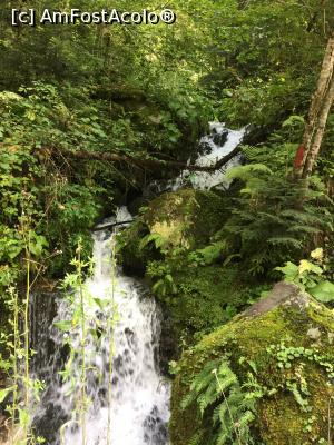 [P06] Cascada Ropote » foto by Dan&Ema
 - 
<span class="allrVoted glyphicon glyphicon-heart hidden" id="av791340"></span>
<a class="m-l-10 hidden" id="sv791340" onclick="voting_Foto_DelVot(,791340,6368)" role="button">șterge vot <span class="glyphicon glyphicon-remove"></span></a>
<a id="v9791340" class=" c-red"  onclick="voting_Foto_SetVot(791340)" role="button"><span class="glyphicon glyphicon-heart-empty"></span> <b>LIKE</b> = Votează poza</a> <img class="hidden"  id="f791340W9" src="/imagini/loader.gif" border="0" /><span class="AjErrMes hidden" id="e791340ErM"></span>