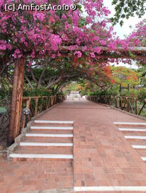 [P04] Prin grădina din resort » foto by ionraut
 - 
<span class="allrVoted glyphicon glyphicon-heart hidden" id="av1349971"></span>
<a class="m-l-10 hidden" id="sv1349971" onclick="voting_Foto_DelVot(,1349971,6379)" role="button">șterge vot <span class="glyphicon glyphicon-remove"></span></a>
<a id="v91349971" class=" c-red"  onclick="voting_Foto_SetVot(1349971)" role="button"><span class="glyphicon glyphicon-heart-empty"></span> <b>LIKE</b> = Votează poza</a> <img class="hidden"  id="f1349971W9" src="/imagini/loader.gif" border="0" /><span class="AjErrMes hidden" id="e1349971ErM"></span>