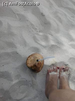 [P02] Nuca cocos » foto by Moni. Alex
 - 
<span class="allrVoted glyphicon glyphicon-heart hidden" id="av1231085"></span>
<a class="m-l-10 hidden" id="sv1231085" onclick="voting_Foto_DelVot(,1231085,6379)" role="button">șterge vot <span class="glyphicon glyphicon-remove"></span></a>
<a id="v91231085" class=" c-red"  onclick="voting_Foto_SetVot(1231085)" role="button"><span class="glyphicon glyphicon-heart-empty"></span> <b>LIKE</b> = Votează poza</a> <img class="hidden"  id="f1231085W9" src="/imagini/loader.gif" border="0" /><span class="AjErrMes hidden" id="e1231085ErM"></span>
