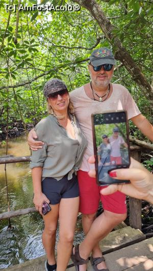 [P18] prin Jozani Forest » foto by robert
 - 
<span class="allrVoted glyphicon glyphicon-heart hidden" id="av1261198"></span>
<a class="m-l-10 hidden" id="sv1261198" onclick="voting_Foto_DelVot(,1261198,6379)" role="button">șterge vot <span class="glyphicon glyphicon-remove"></span></a>
<a id="v91261198" class=" c-red"  onclick="voting_Foto_SetVot(1261198)" role="button"><span class="glyphicon glyphicon-heart-empty"></span> <b>LIKE</b> = Votează poza</a> <img class="hidden"  id="f1261198W9" src="/imagini/loader.gif" border="0" /><span class="AjErrMes hidden" id="e1261198ErM"></span>