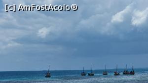 [P29] flota Zanzibarului » foto by robert
 - 
<span class="allrVoted glyphicon glyphicon-heart hidden" id="av1261209"></span>
<a class="m-l-10 hidden" id="sv1261209" onclick="voting_Foto_DelVot(,1261209,6379)" role="button">șterge vot <span class="glyphicon glyphicon-remove"></span></a>
<a id="v91261209" class=" c-red"  onclick="voting_Foto_SetVot(1261209)" role="button"><span class="glyphicon glyphicon-heart-empty"></span> <b>LIKE</b> = Votează poza</a> <img class="hidden"  id="f1261209W9" src="/imagini/loader.gif" border="0" /><span class="AjErrMes hidden" id="e1261209ErM"></span>