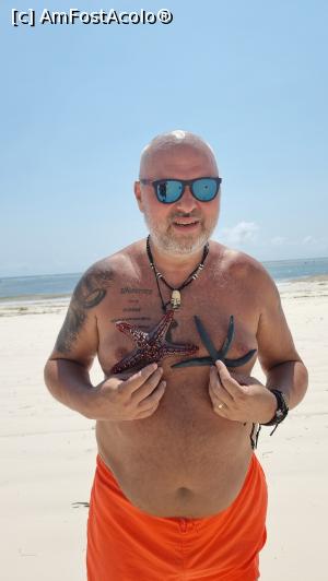 [P20] aș vrea să fiu o stea, fie si de mare » foto by robert
 - 
<span class="allrVoted glyphicon glyphicon-heart hidden" id="av1266474"></span>
<a class="m-l-10 hidden" id="sv1266474" onclick="voting_Foto_DelVot(,1266474,6379)" role="button">șterge vot <span class="glyphicon glyphicon-remove"></span></a>
<a id="v91266474" class=" c-red"  onclick="voting_Foto_SetVot(1266474)" role="button"><span class="glyphicon glyphicon-heart-empty"></span> <b>LIKE</b> = Votează poza</a> <img class="hidden"  id="f1266474W9" src="/imagini/loader.gif" border="0" /><span class="AjErrMes hidden" id="e1266474ErM"></span>