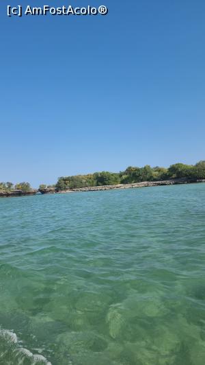 [P27] laguna » foto by robert
 - 
<span class="allrVoted glyphicon glyphicon-heart hidden" id="av1272225"></span>
<a class="m-l-10 hidden" id="sv1272225" onclick="voting_Foto_DelVot(,1272225,6379)" role="button">șterge vot <span class="glyphicon glyphicon-remove"></span></a>
<a id="v91272225" class=" c-red"  onclick="voting_Foto_SetVot(1272225)" role="button"><span class="glyphicon glyphicon-heart-empty"></span> <b>LIKE</b> = Votează poza</a> <img class="hidden"  id="f1272225W9" src="/imagini/loader.gif" border="0" /><span class="AjErrMes hidden" id="e1272225ErM"></span>