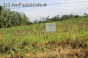 [P10] Straturi altoite de manioc (cassava).  » foto by glcitizen
 - 
<span class="allrVoted glyphicon glyphicon-heart hidden" id="av1014101"></span>
<a class="m-l-10 hidden" id="sv1014101" onclick="voting_Foto_DelVot(,1014101,6379)" role="button">șterge vot <span class="glyphicon glyphicon-remove"></span></a>
<a id="v91014101" class=" c-red"  onclick="voting_Foto_SetVot(1014101)" role="button"><span class="glyphicon glyphicon-heart-empty"></span> <b>LIKE</b> = Votează poza</a> <img class="hidden"  id="f1014101W9" src="/imagini/loader.gif" border="0" /><span class="AjErrMes hidden" id="e1014101ErM"></span>