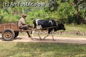 [P12] Un alt peisaj rural din Zanzibar.  » foto by glcitizen
 - 
<span class="allrVoted glyphicon glyphicon-heart hidden" id="av1014103"></span>
<a class="m-l-10 hidden" id="sv1014103" onclick="voting_Foto_DelVot(,1014103,6379)" role="button">șterge vot <span class="glyphicon glyphicon-remove"></span></a>
<a id="v91014103" class=" c-red"  onclick="voting_Foto_SetVot(1014103)" role="button"><span class="glyphicon glyphicon-heart-empty"></span> <b>LIKE</b> = Votează poza</a> <img class="hidden"  id="f1014103W9" src="/imagini/loader.gif" border="0" /><span class="AjErrMes hidden" id="e1014103ErM"></span>