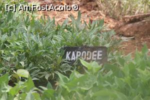[P14] Straturi experimentale de arbore Kapodee.  » foto by glcitizen
 - 
<span class="allrVoted glyphicon glyphicon-heart hidden" id="av1014105"></span>
<a class="m-l-10 hidden" id="sv1014105" onclick="voting_Foto_DelVot(,1014105,6379)" role="button">șterge vot <span class="glyphicon glyphicon-remove"></span></a>
<a id="v91014105" class=" c-red"  onclick="voting_Foto_SetVot(1014105)" role="button"><span class="glyphicon glyphicon-heart-empty"></span> <b>LIKE</b> = Votează poza</a> <img class="hidden"  id="f1014105W9" src="/imagini/loader.gif" border="0" /><span class="AjErrMes hidden" id="e1014105ErM"></span>