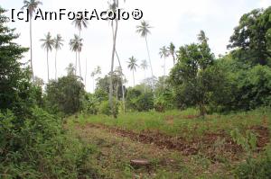 [P21] Aproape de ieșirea dintr-o pădure vrăjită.  » foto by glcitizen
 - 
<span class="allrVoted glyphicon glyphicon-heart hidden" id="av1014112"></span>
<a class="m-l-10 hidden" id="sv1014112" onclick="voting_Foto_DelVot(,1014112,6379)" role="button">șterge vot <span class="glyphicon glyphicon-remove"></span></a>
<a id="v91014112" class=" c-red"  onclick="voting_Foto_SetVot(1014112)" role="button"><span class="glyphicon glyphicon-heart-empty"></span> <b>LIKE</b> = Votează poza</a> <img class="hidden"  id="f1014112W9" src="/imagini/loader.gif" border="0" /><span class="AjErrMes hidden" id="e1014112ErM"></span>