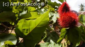 [P09] Fructul folosit pe post de ruj » foto by trav3licious
 - 
<span class="allrVoted glyphicon glyphicon-heart hidden" id="av819128"></span>
<a class="m-l-10 hidden" id="sv819128" onclick="voting_Foto_DelVot(,819128,6379)" role="button">șterge vot <span class="glyphicon glyphicon-remove"></span></a>
<a id="v9819128" class=" c-red"  onclick="voting_Foto_SetVot(819128)" role="button"><span class="glyphicon glyphicon-heart-empty"></span> <b>LIKE</b> = Votează poza</a> <img class="hidden"  id="f819128W9" src="/imagini/loader.gif" border="0" /><span class="AjErrMes hidden" id="e819128ErM"></span>