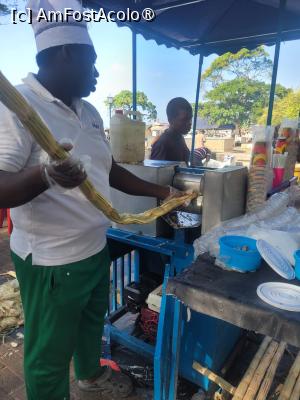 [P18] Trestie de zahar » foto by Tonyc
 - 
<span class="allrVoted glyphicon glyphicon-heart hidden" id="av1516892"></span>
<a class="m-l-10 hidden" id="sv1516892" onclick="voting_Foto_DelVot(,1516892,6379)" role="button">șterge vot <span class="glyphicon glyphicon-remove"></span></a>
<a id="v91516892" class=" c-red"  onclick="voting_Foto_SetVot(1516892)" role="button"><span class="glyphicon glyphicon-heart-empty"></span> <b>LIKE</b> = Votează poza</a> <img class="hidden"  id="f1516892W9" src="/imagini/loader.gif" border="0" /><span class="AjErrMes hidden" id="e1516892ErM"></span>