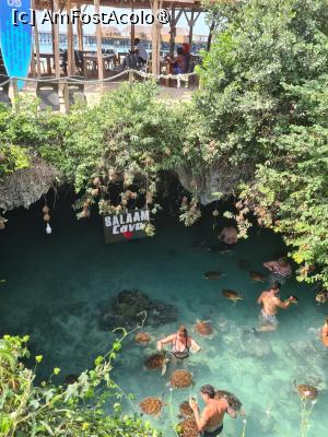 [P19] Inot cu testoase » foto by Tonyc
 - 
<span class="allrVoted glyphicon glyphicon-heart hidden" id="av1516893"></span>
<a class="m-l-10 hidden" id="sv1516893" onclick="voting_Foto_DelVot(,1516893,6379)" role="button">șterge vot <span class="glyphicon glyphicon-remove"></span></a>
<a id="v91516893" class=" c-red"  onclick="voting_Foto_SetVot(1516893)" role="button"><span class="glyphicon glyphicon-heart-empty"></span> <b>LIKE</b> = Votează poza</a> <img class="hidden"  id="f1516893W9" src="/imagini/loader.gif" border="0" /><span class="AjErrMes hidden" id="e1516893ErM"></span>