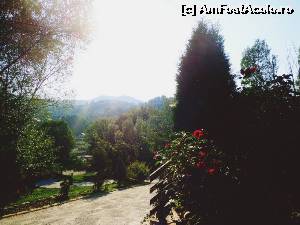 [P02] Imagine din curtea pensiunii » foto by Ammelie
 - 
<span class="allrVoted glyphicon glyphicon-heart hidden" id="av675880"></span>
<a class="m-l-10 hidden" id="sv675880" onclick="voting_Foto_DelVot(,675880,6396)" role="button">șterge vot <span class="glyphicon glyphicon-remove"></span></a>
<a id="v9675880" class=" c-red"  onclick="voting_Foto_SetVot(675880)" role="button"><span class="glyphicon glyphicon-heart-empty"></span> <b>LIKE</b> = Votează poza</a> <img class="hidden"  id="f675880W9" src="/imagini/loader.gif" border="0" /><span class="AjErrMes hidden" id="e675880ErM"></span>