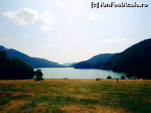 [P06] Lacul Paltinu din apropiere.  » foto by Ammelie
 - 
<span class="allrVoted glyphicon glyphicon-heart hidden" id="av675884"></span>
<a class="m-l-10 hidden" id="sv675884" onclick="voting_Foto_DelVot(,675884,6396)" role="button">șterge vot <span class="glyphicon glyphicon-remove"></span></a>
<a id="v9675884" class=" c-red"  onclick="voting_Foto_SetVot(675884)" role="button"><span class="glyphicon glyphicon-heart-empty"></span> <b>LIKE</b> = Votează poza</a> <img class="hidden"  id="f675884W9" src="/imagini/loader.gif" border="0" /><span class="AjErrMes hidden" id="e675884ErM"></span>