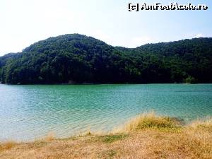 [P07] Lacul Paltinu din apropiere.  » foto by Ammelie
 - 
<span class="allrVoted glyphicon glyphicon-heart hidden" id="av675885"></span>
<a class="m-l-10 hidden" id="sv675885" onclick="voting_Foto_DelVot(,675885,6396)" role="button">șterge vot <span class="glyphicon glyphicon-remove"></span></a>
<a id="v9675885" class=" c-red"  onclick="voting_Foto_SetVot(675885)" role="button"><span class="glyphicon glyphicon-heart-empty"></span> <b>LIKE</b> = Votează poza</a> <img class="hidden"  id="f675885W9" src="/imagini/loader.gif" border="0" /><span class="AjErrMes hidden" id="e675885ErM"></span>
