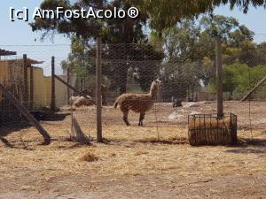 [P13] Friguia Park Tunisia » foto by nicole33
 - 
<span class="allrVoted glyphicon glyphicon-heart hidden" id="av1343500"></span>
<a class="m-l-10 hidden" id="sv1343500" onclick="voting_Foto_DelVot(,1343500,6402)" role="button">șterge vot <span class="glyphicon glyphicon-remove"></span></a>
<a id="v91343500" class=" c-red"  onclick="voting_Foto_SetVot(1343500)" role="button"><span class="glyphicon glyphicon-heart-empty"></span> <b>LIKE</b> = Votează poza</a> <img class="hidden"  id="f1343500W9" src="/imagini/loader.gif" border="0" /><span class="AjErrMes hidden" id="e1343500ErM"></span>